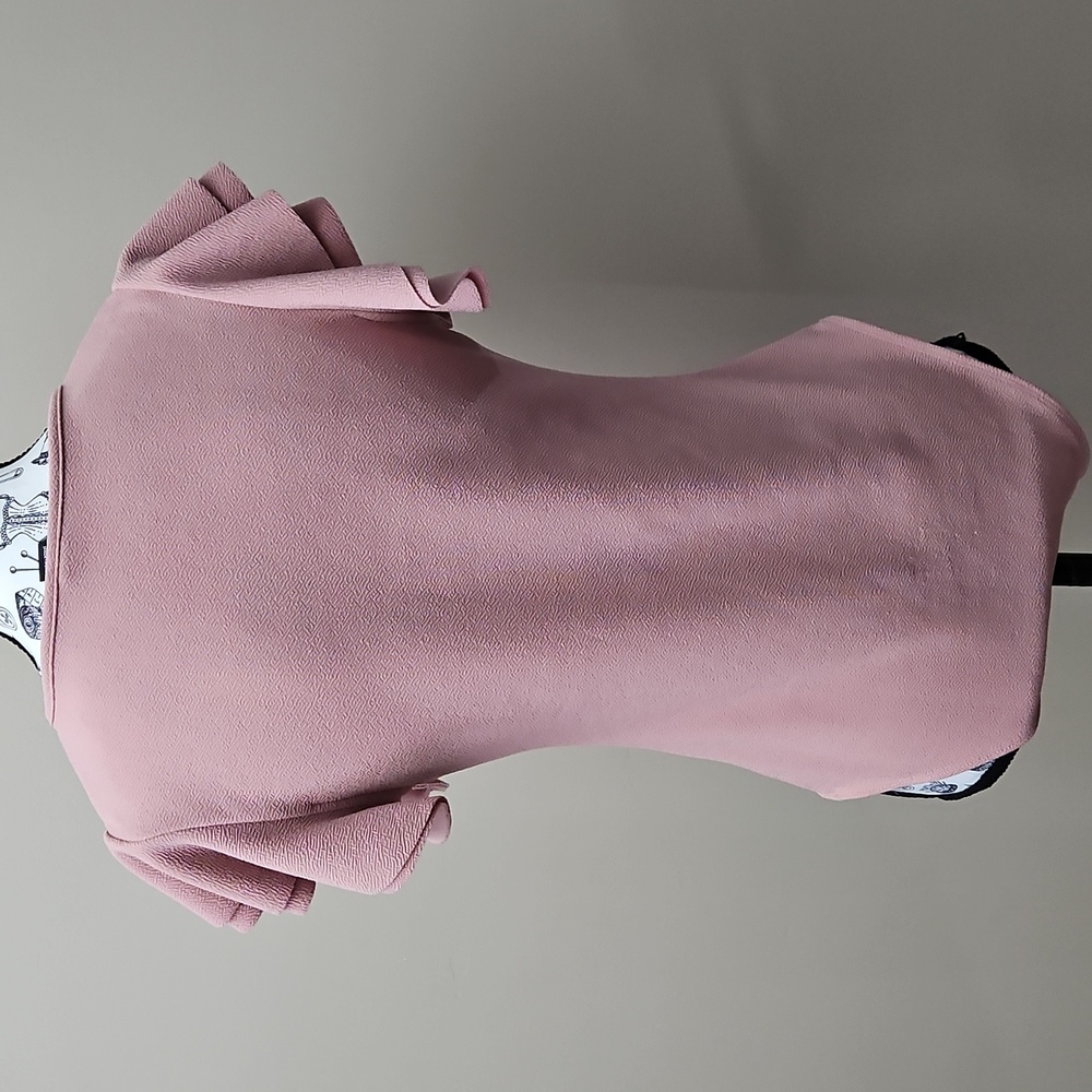 Women's Medium 6 Ruffled Short Sleeve Stretchy Pink Bodysuit - Picture 3 of 15